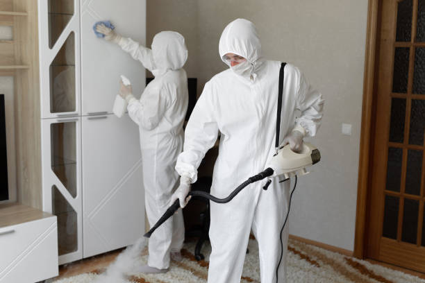 Best Mold Removal Process  in Maysville, KY